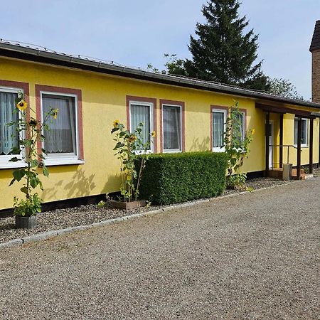 Ferienwohnungen "Zur Schamper Muehle" Gotthun Exterior photo